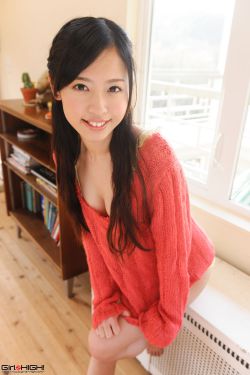 松岛枫种子